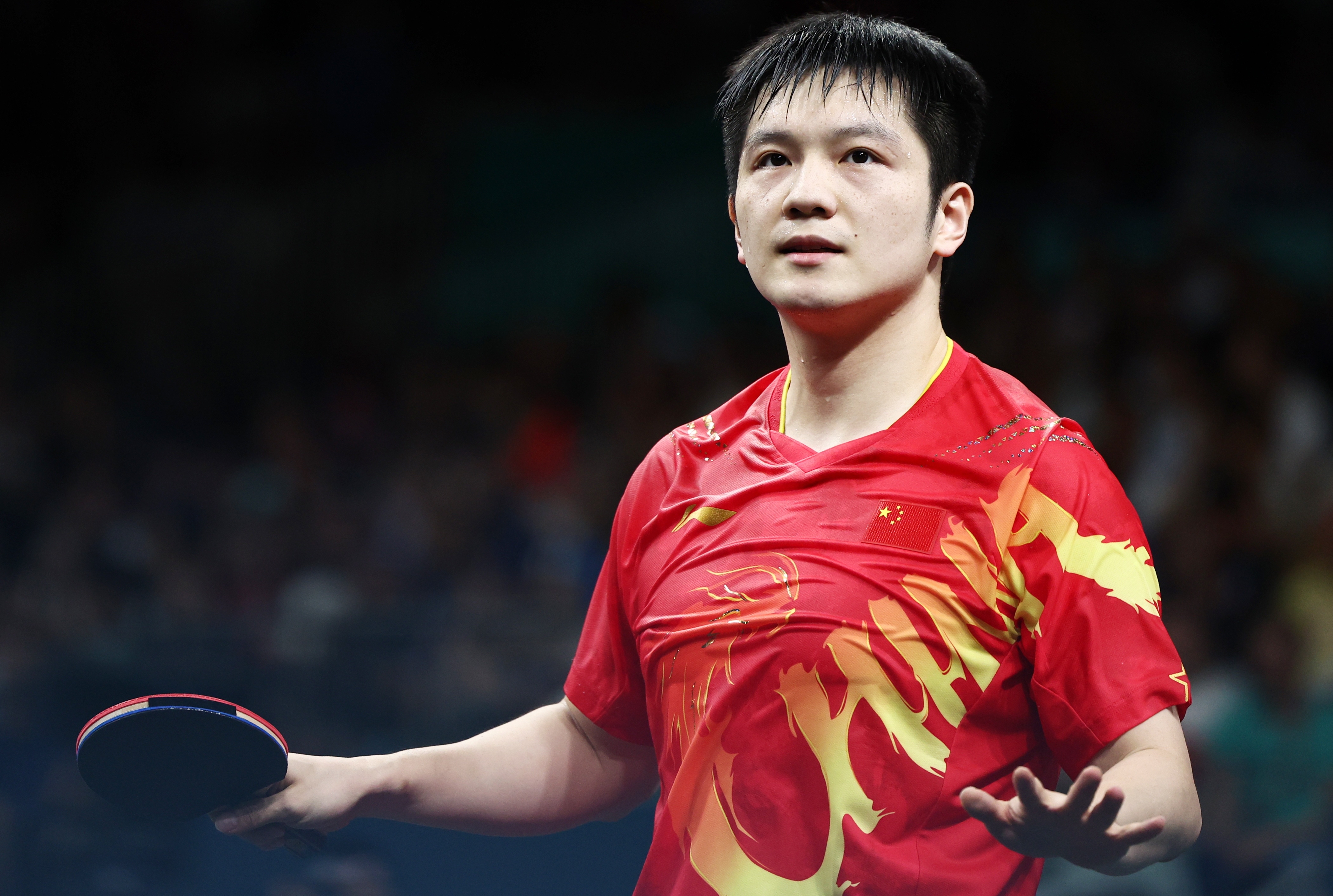 包含日本乒乓球队力克波兰乒乓球队,樊振东绝境逆转的词条 包含日本乒乓球队力克波兰乒乓球队,樊振东绝境逆转的词条