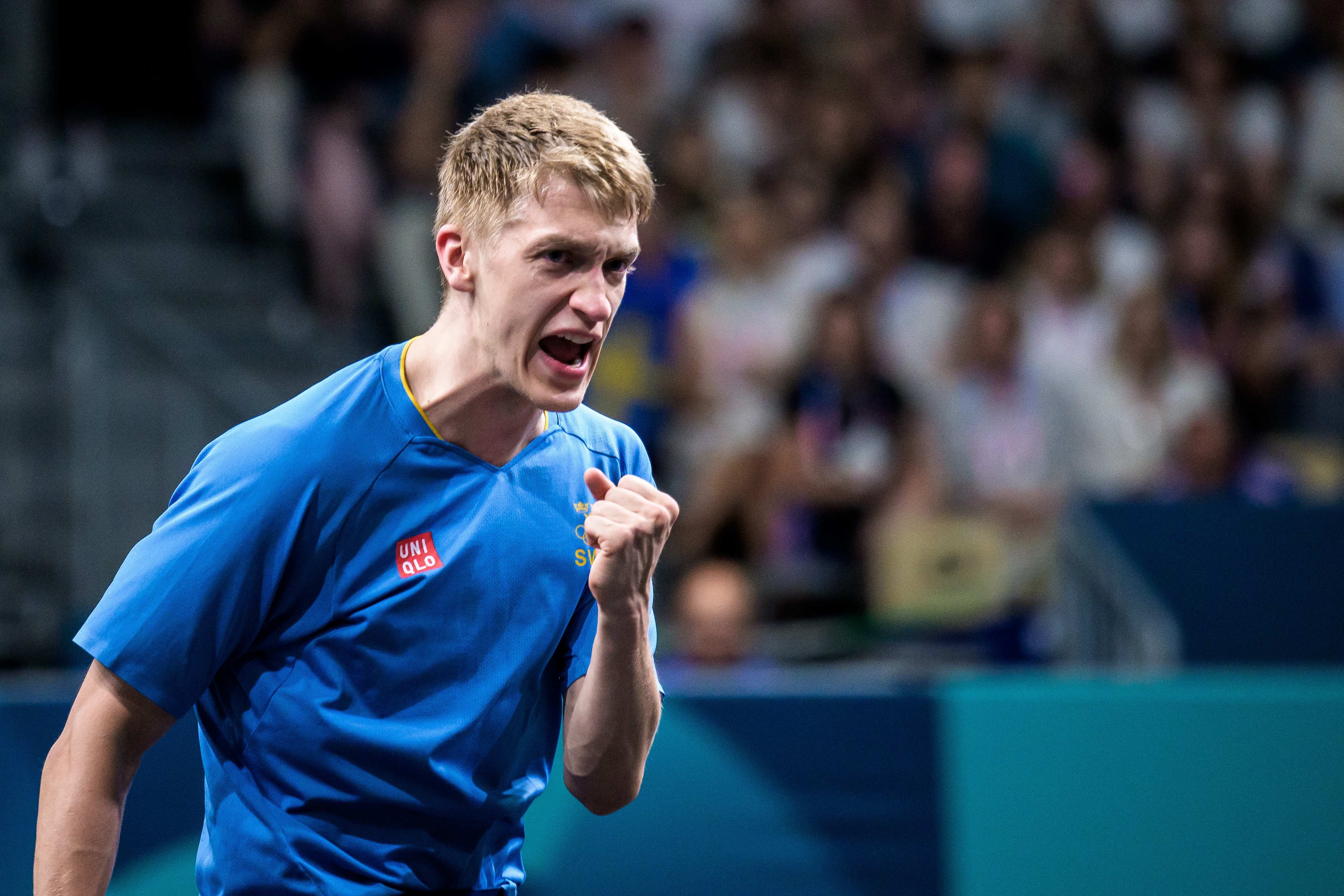 包含比利时乒乓球队力克瑞典乒乓球队，张本智和制霸全场的词条