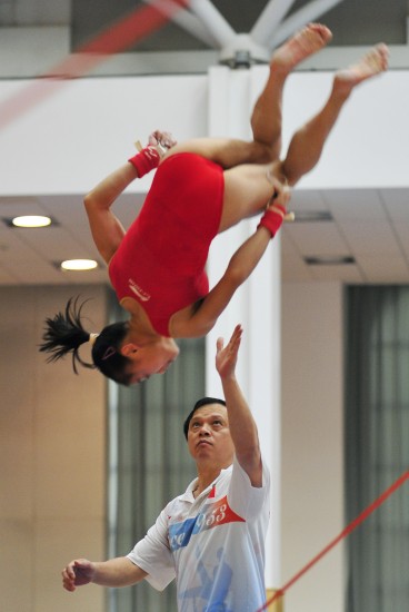 体操队主教练发声，誓言带队登顶的简单介绍