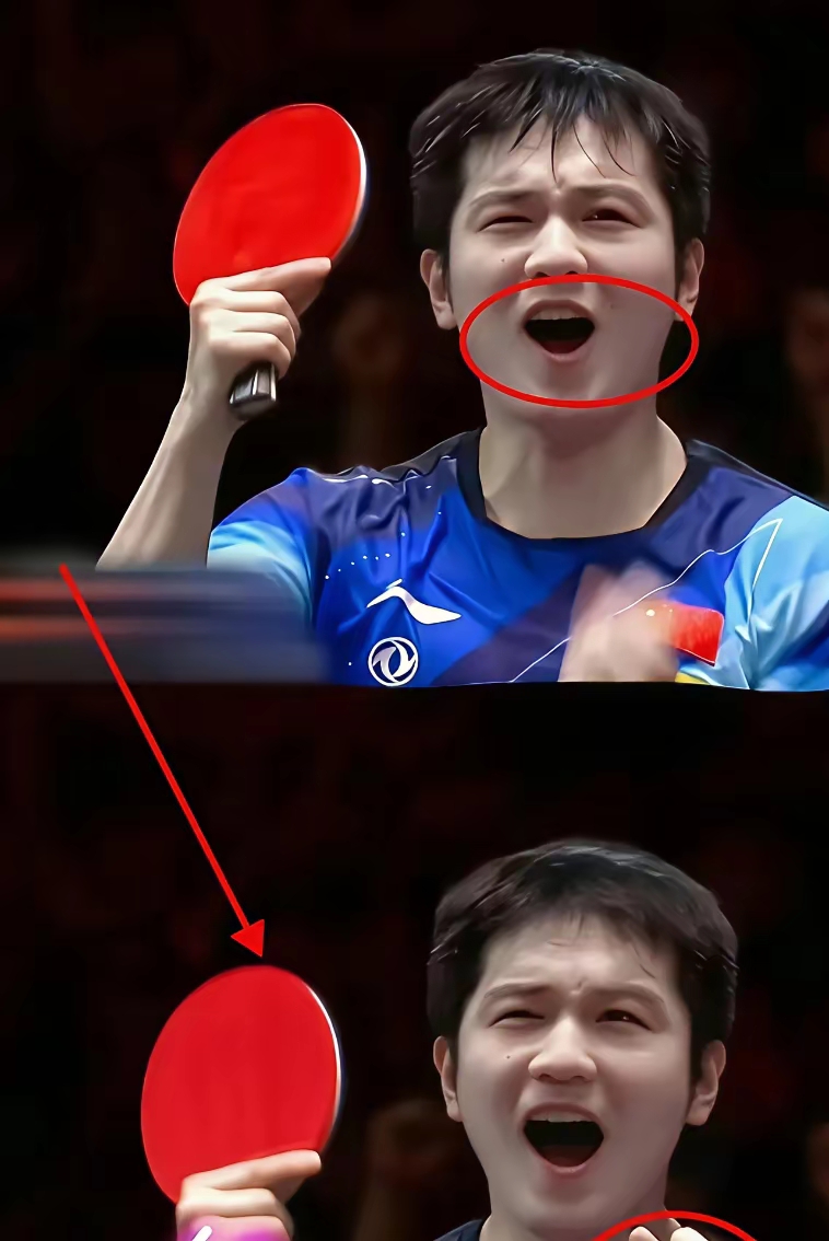 关于法国乒乓球队险胜韩国乒乓球队,樊振东高光表现的信息 关于法国乒乓球队险胜韩国乒乓球队,樊振东高光表现的信息