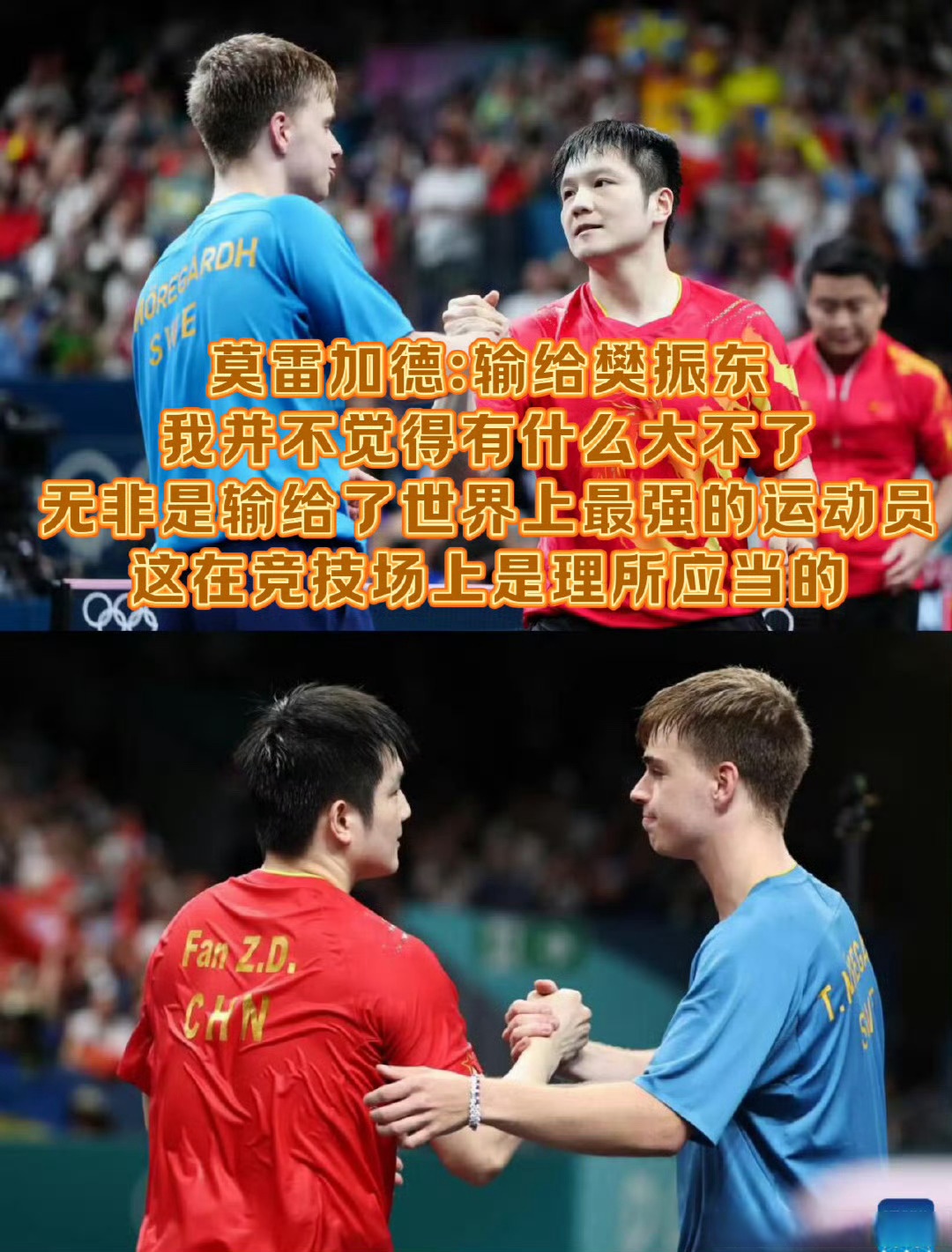 开云APP-奥地利队力克日本队，樊振东统治全场