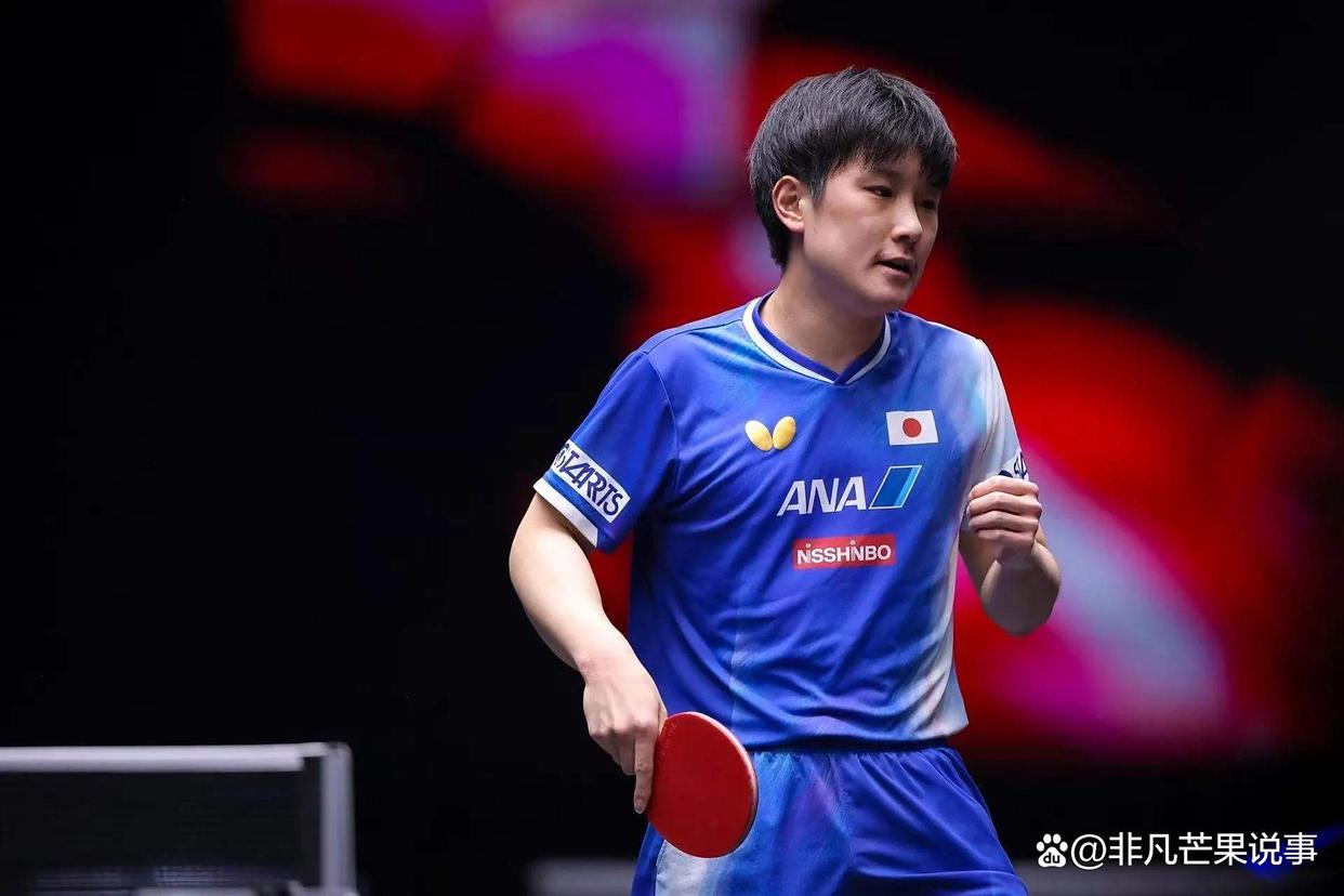 开云体育下载-波兰队鏖战瑞典队，张本智和高光表现