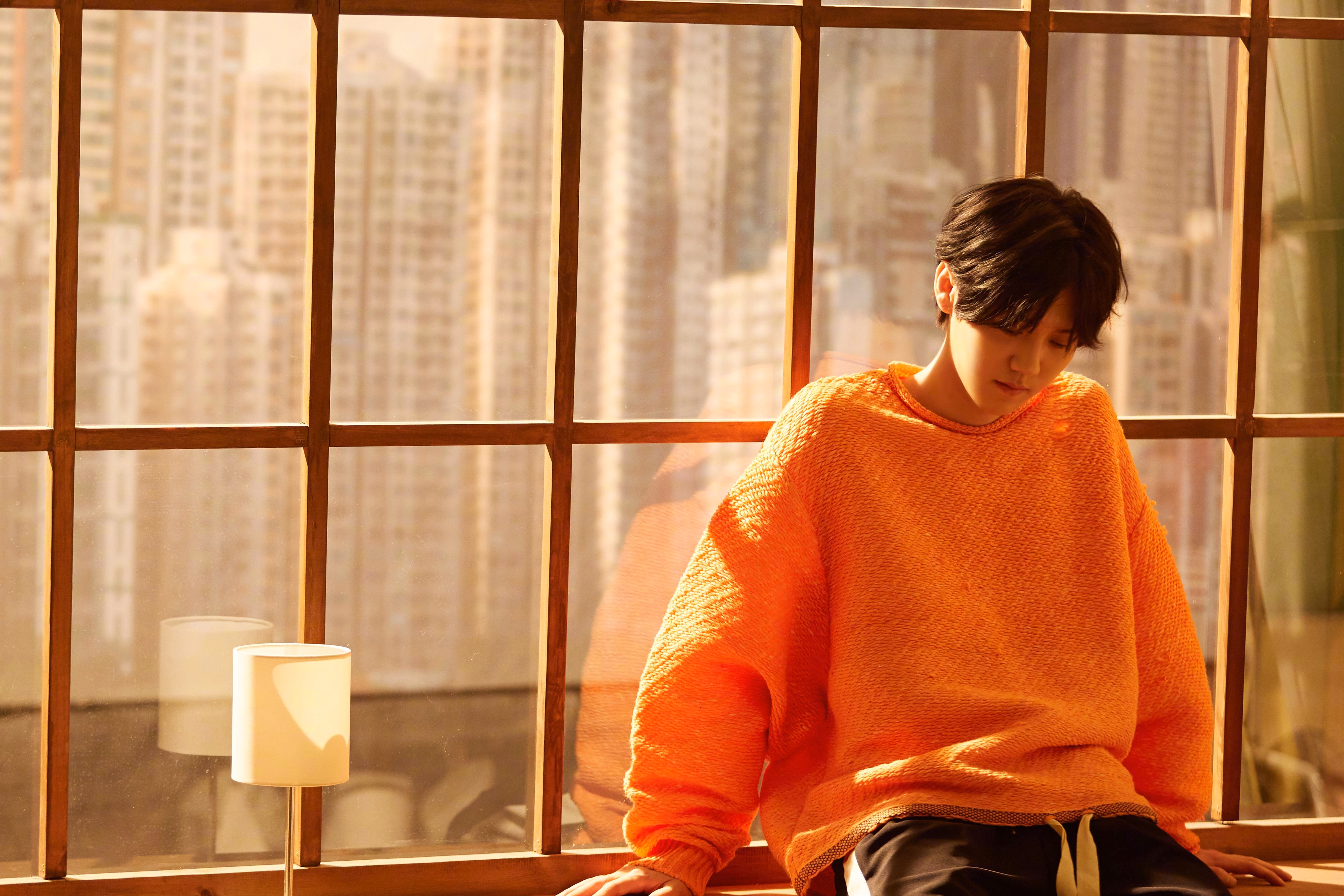 开云体育平台APP-美加墨世界杯之夜，伊布成为全场焦点