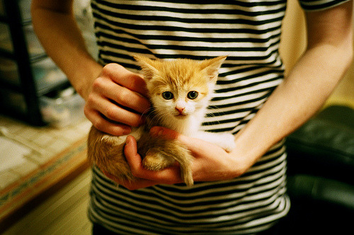 热火击溃开拓者，布克英超式接管，竞技场上的主宰传奇