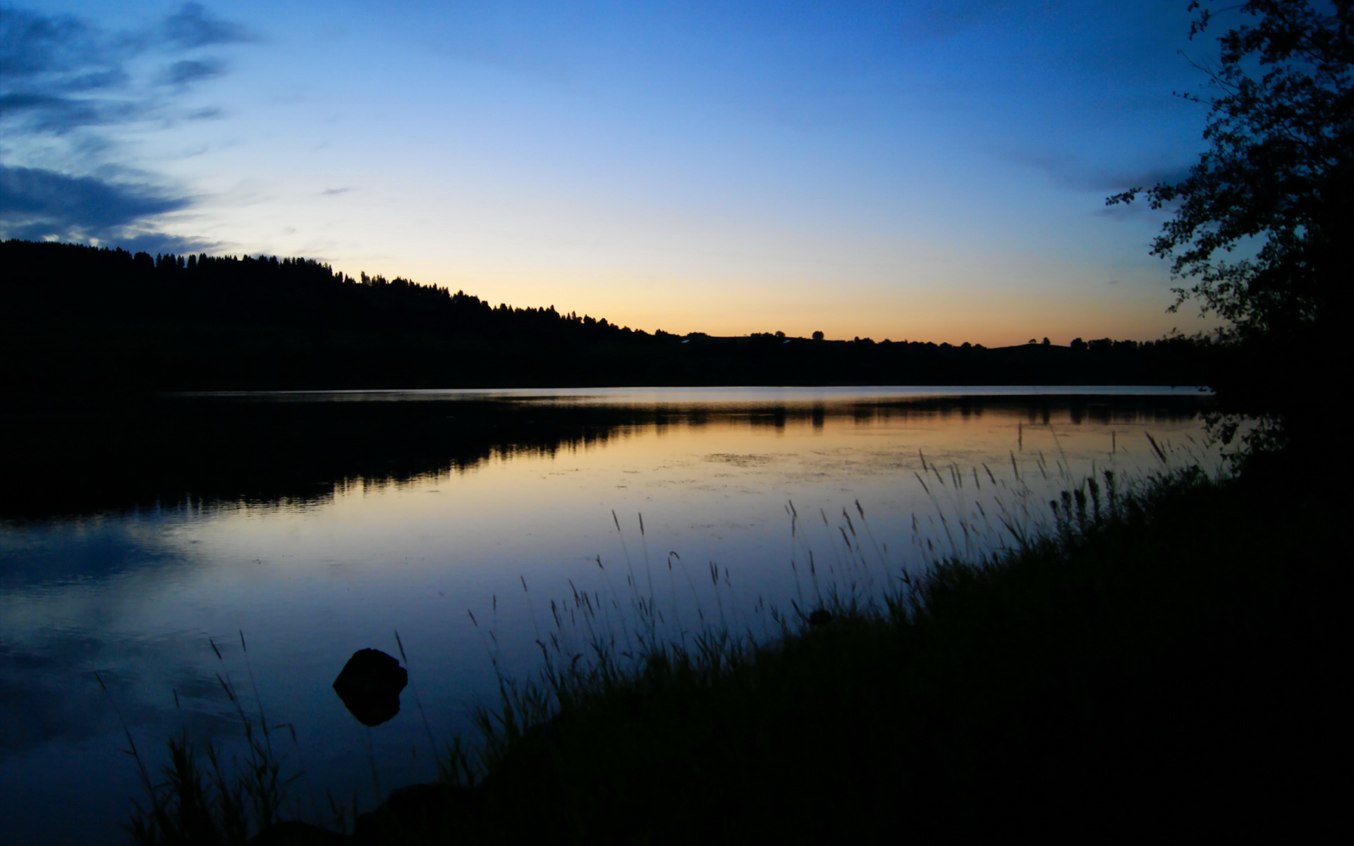 闪耀欧冠的蓝黑军团与接管西甲的孤勇者，足球意志的双重奏