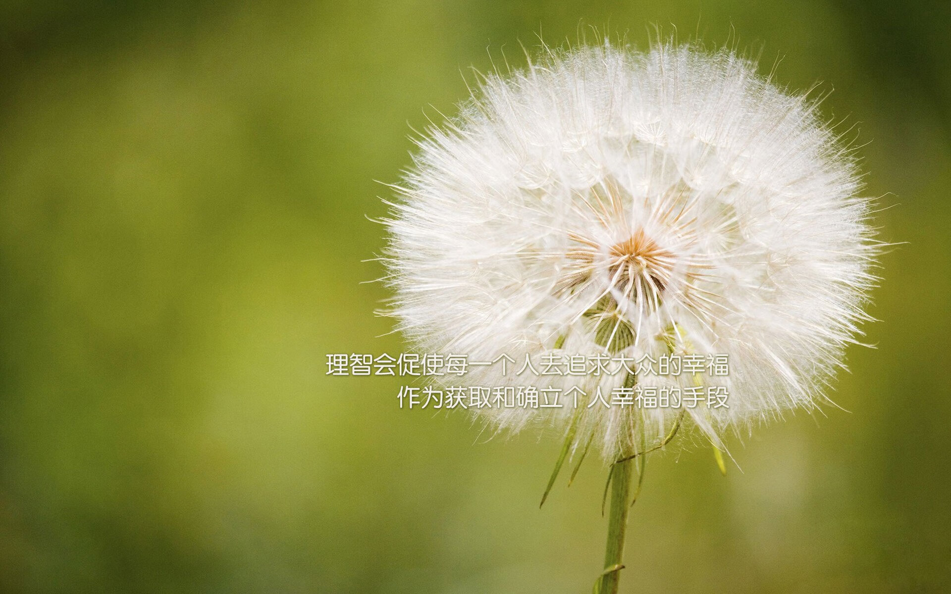 无星之夜与造星之人,赖斯如何于终极压力下加冕为王