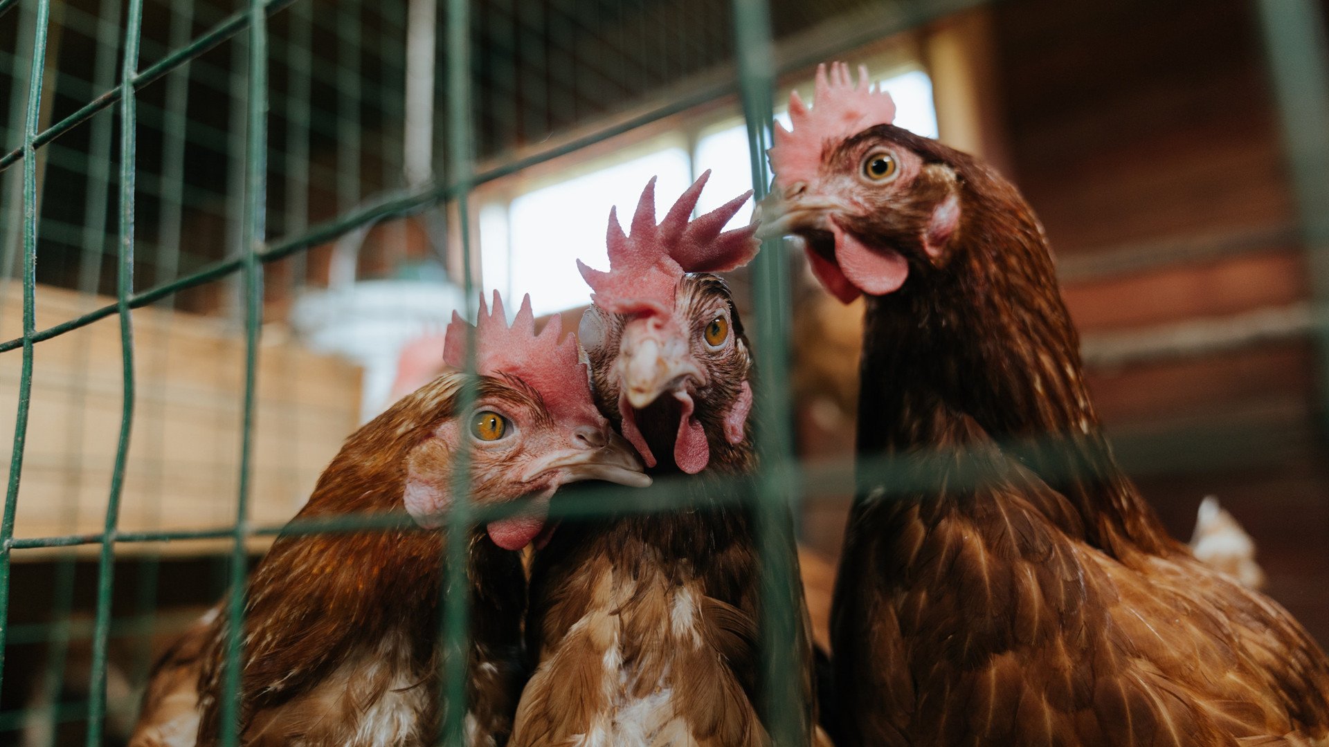 开云平台-赛道与绿茵的共谋，在决胜时刻，谁偷走了时间？