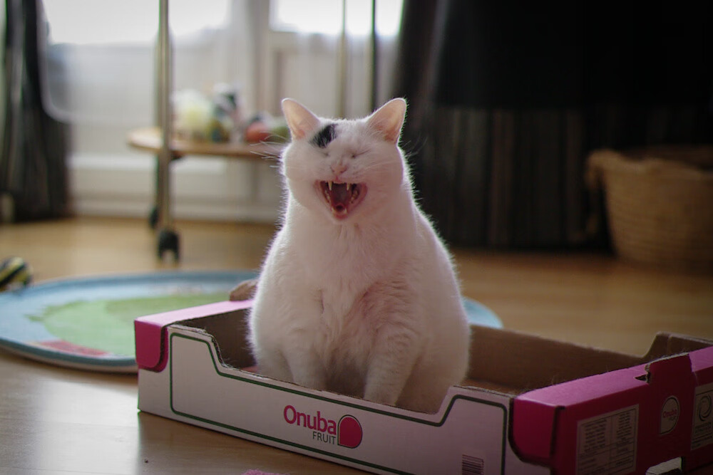 双雄并耀！太阳挺进西决，恩比德主场荡平敌阵