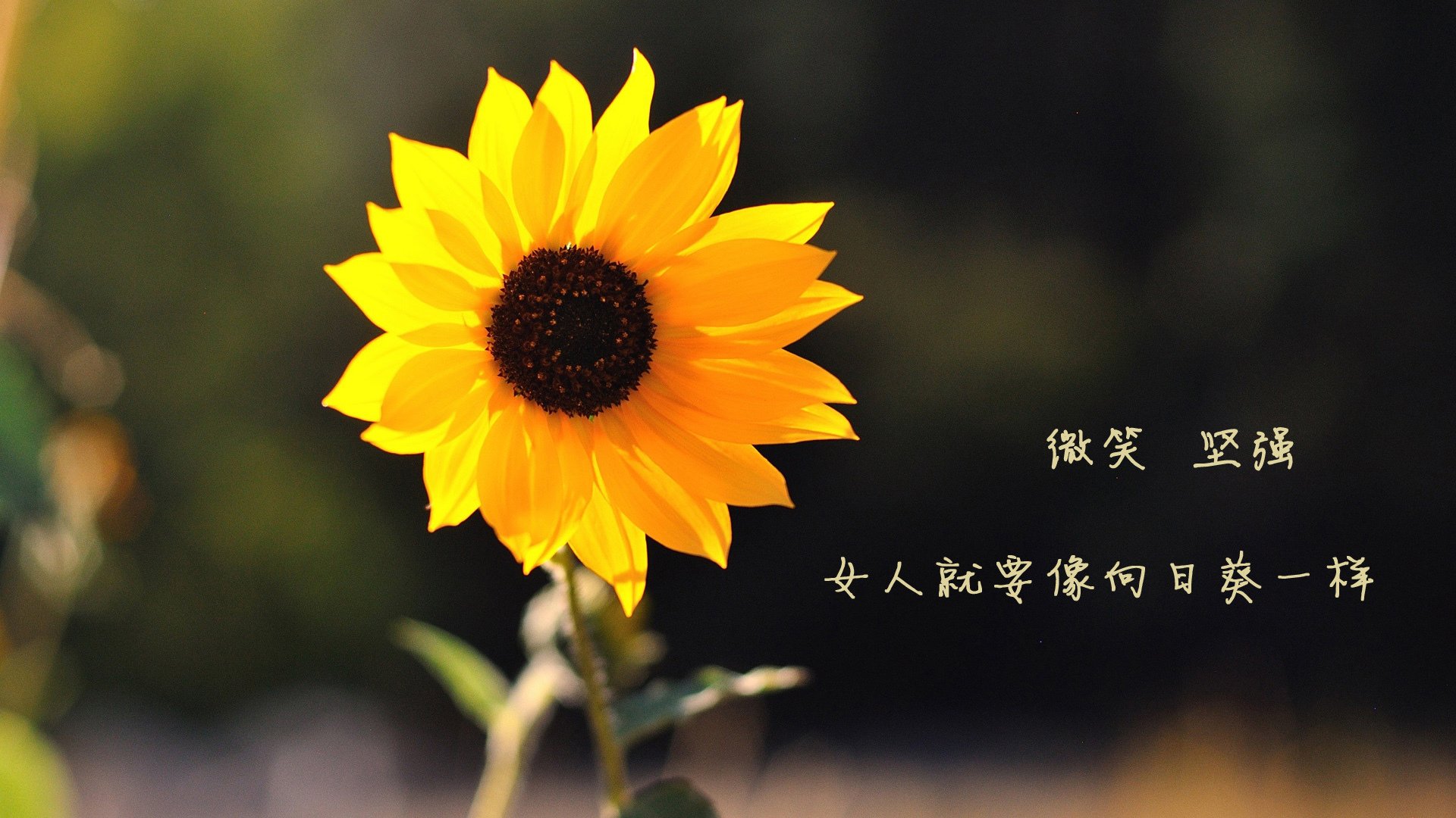 开云体育官方网站-阿什拉夫全程高能输出，马德里竞技对阵新西兰的激情对决