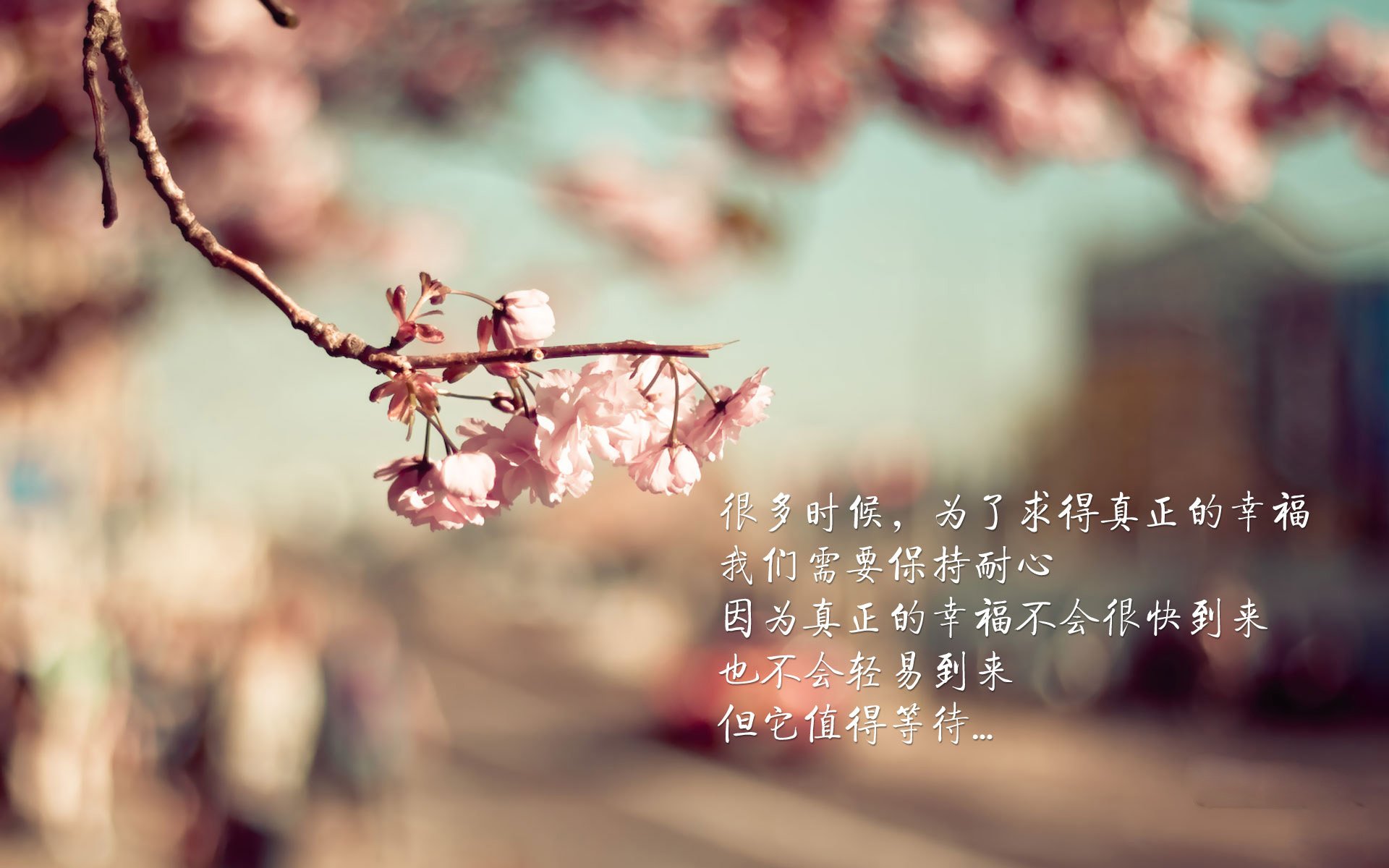 休斯顿的逆袭与马德里的魔力，双城记下的篮球热血