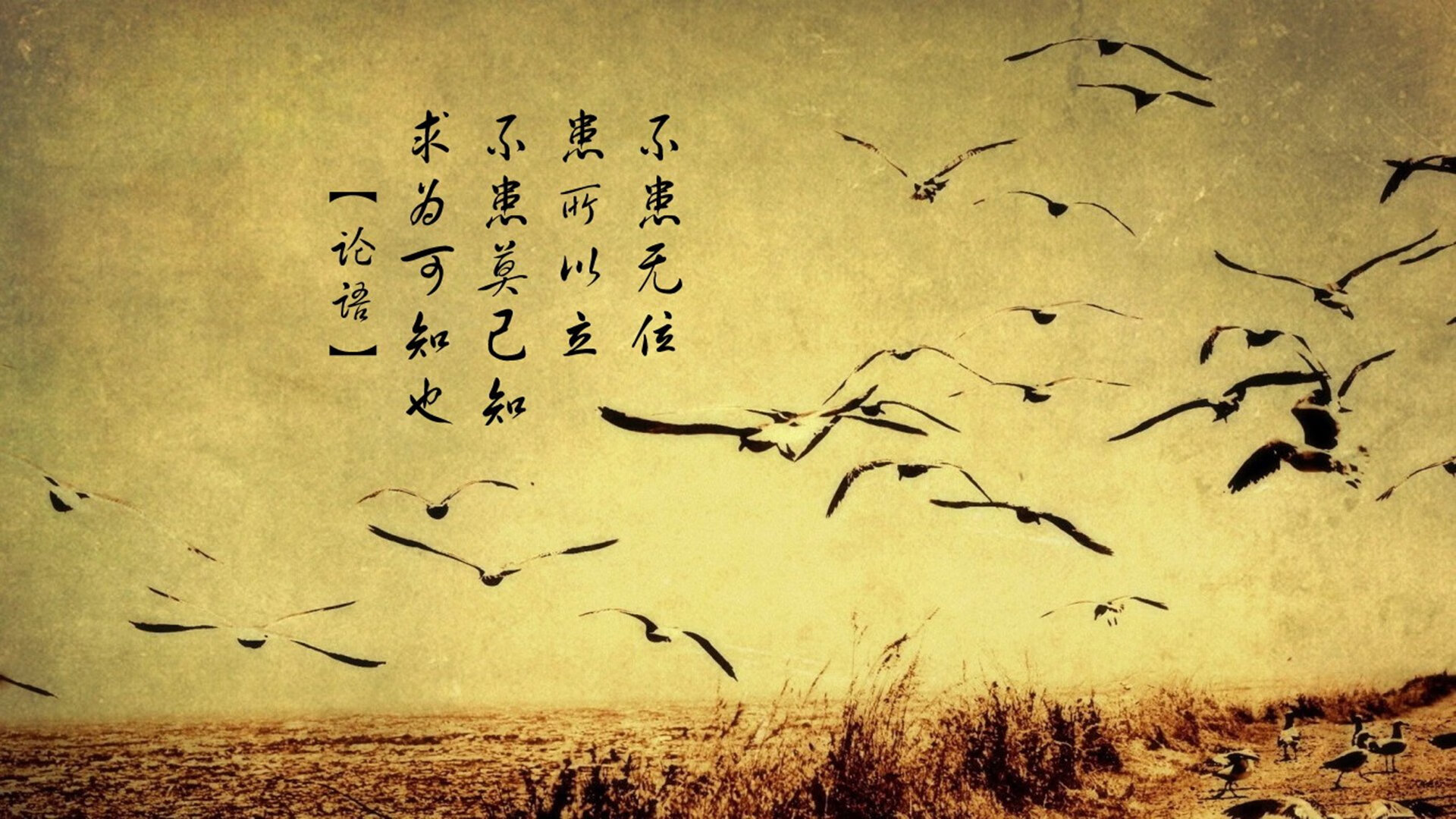 悍将法比尼奥，用无解表现撕碎哥伦比亚防线的塞内加尔守护神