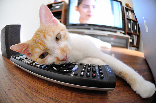 开云体育登录-孔德惊天爆发，沙漠雄狮怒吼！阿尔及利亚掀翻袋鼠军团