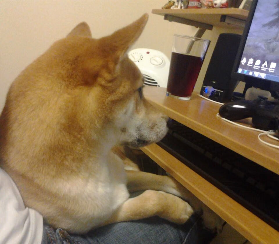 绝境重生，2026篮球世界杯之夜，莫兰特末节封神记