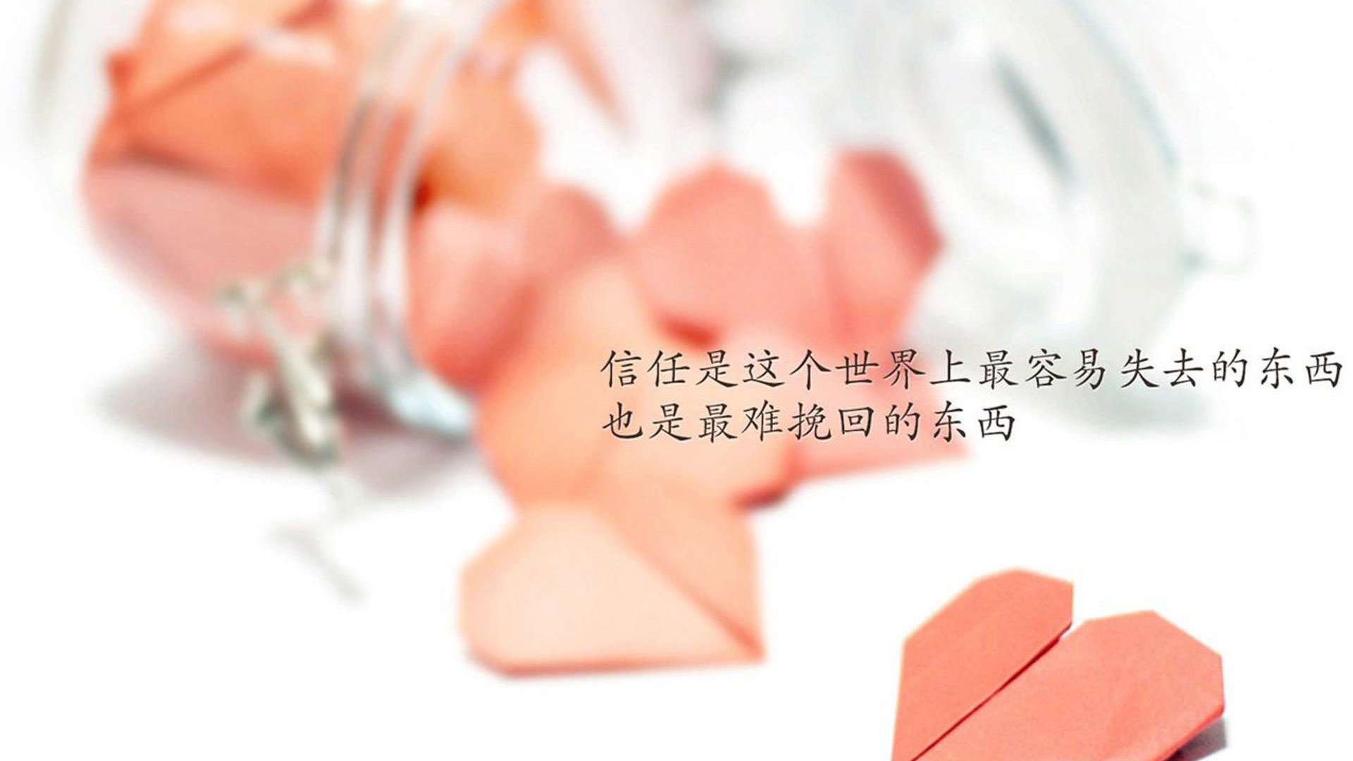 体育双星耀全球，美加墨世界杯焦点战预热，广东队绝杀篮网掀热潮