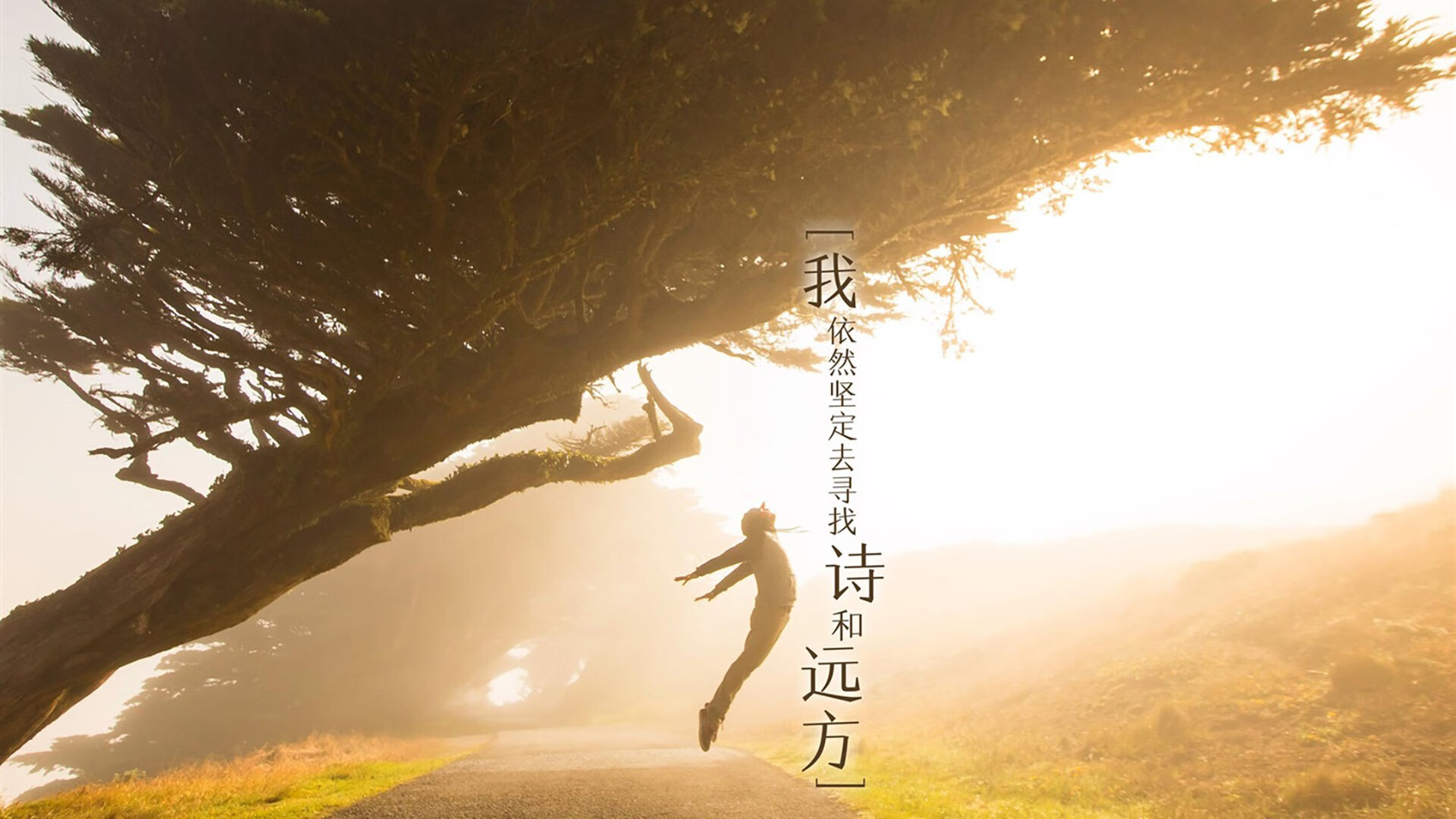 钢铁意志与天才接管，帕尔默一役定江山，终结多特蒙德最后幻想