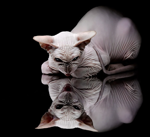 开云体育官网-防守绞杀战中，霍勒迪化身末节手术刀