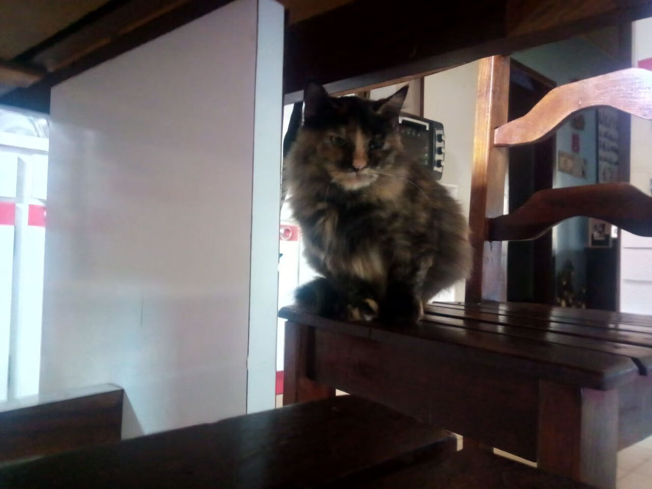 虚拟绿茵2026，当世界杯战火点燃申城德比