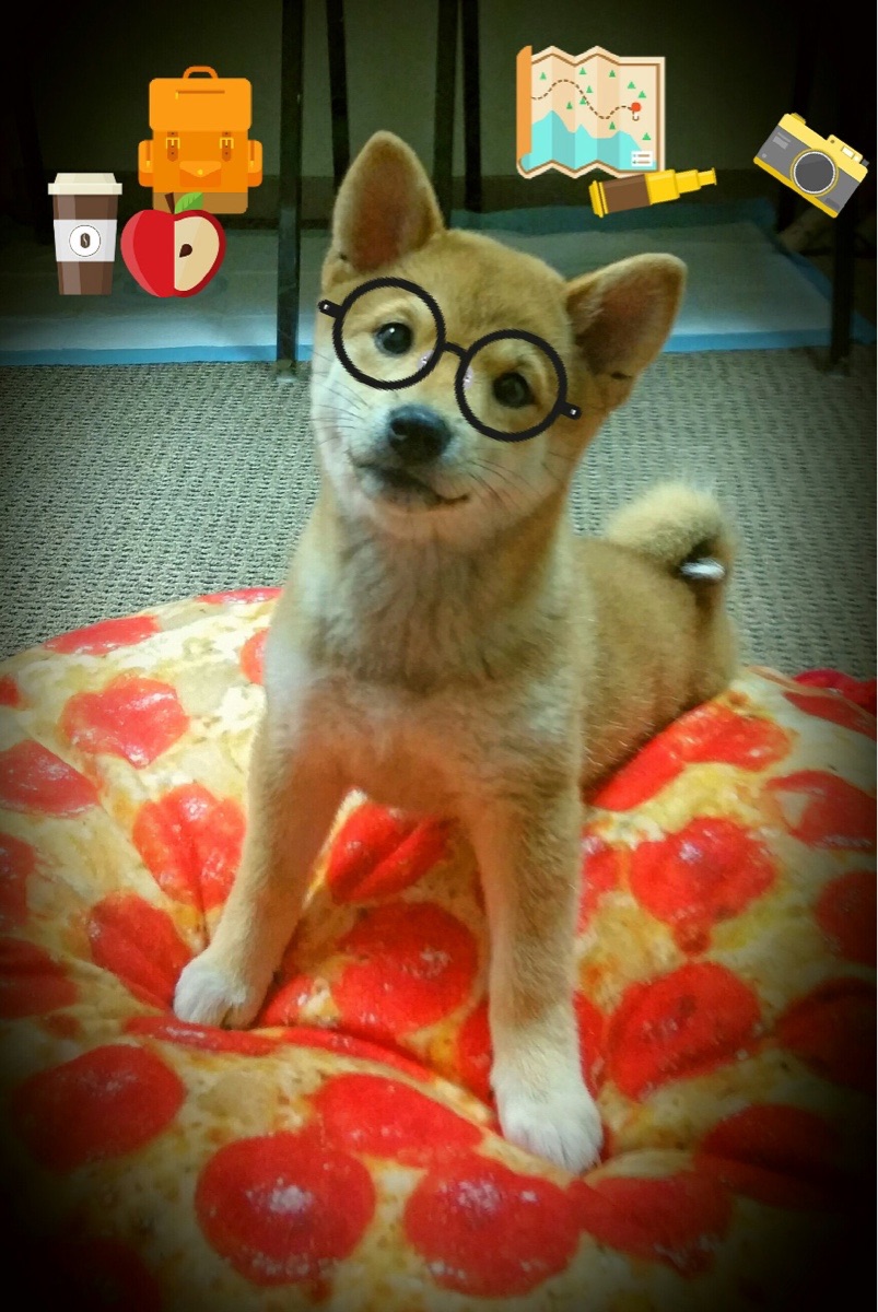 王冠上的独奏者,巴尔韦德大场面先生之夜