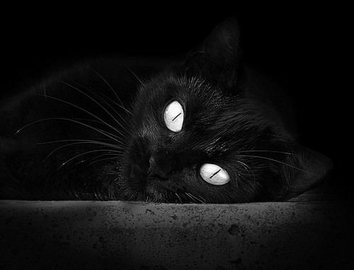 单节16罚！贝恩持续制造杀伤助山西撕裂魔术防线