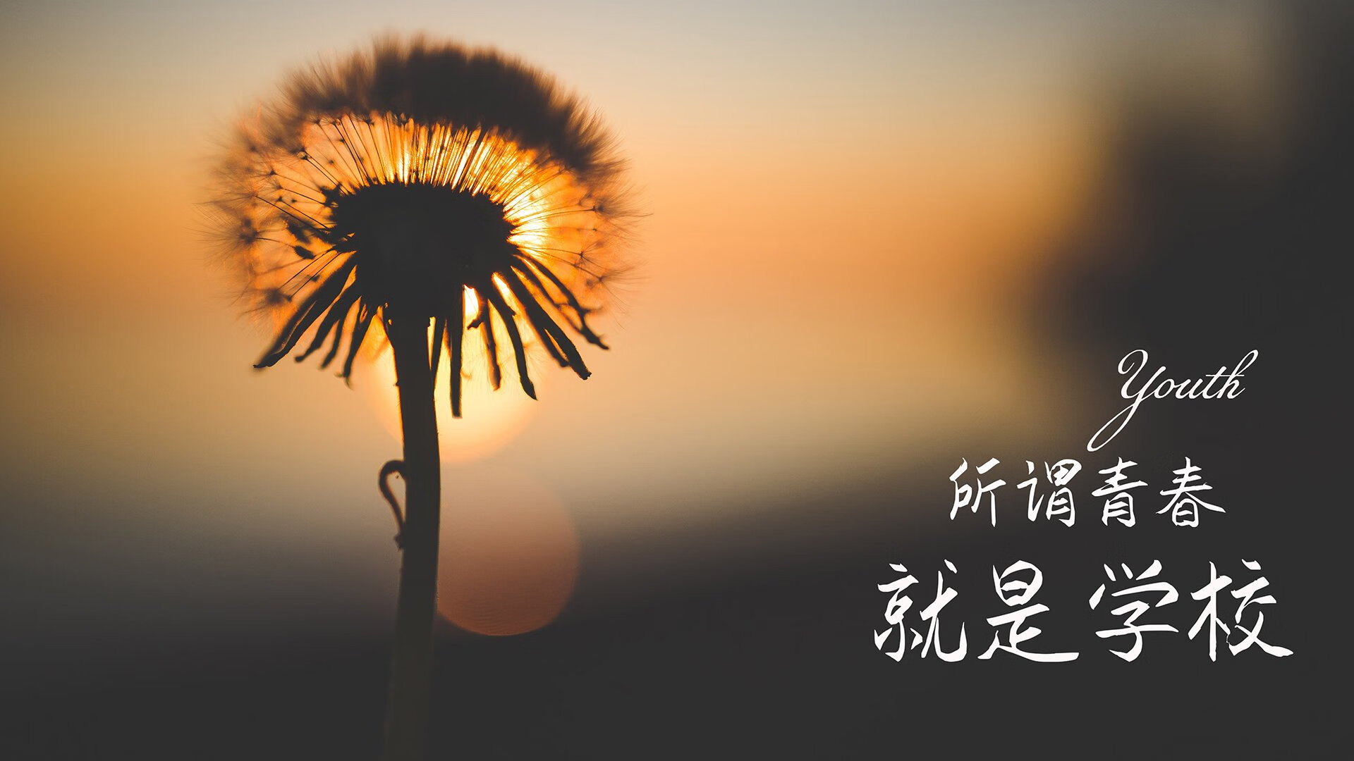 加时赛绝杀，日本坚韧逆转摩洛哥，格列兹曼闪耀世界杯焦点战