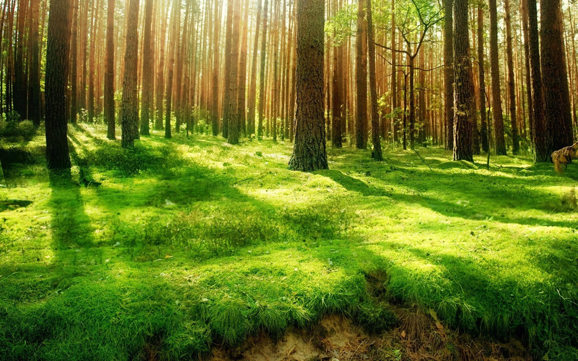 开云官网-2026世界杯豪门对决，日本完胜沙特，德容中场魔术惊艳全球