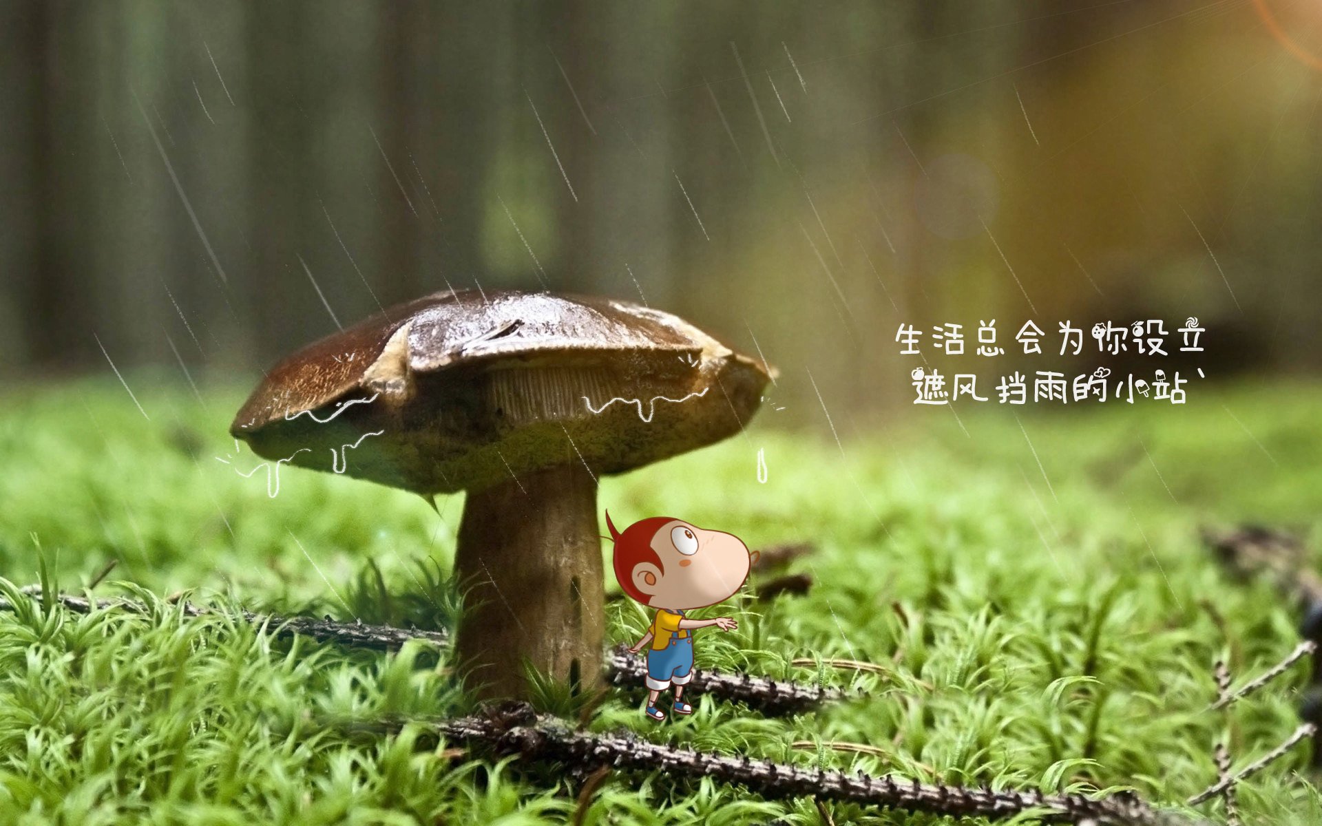 冷门与热血的碰撞，2026世界杯H组，泰国完胜沙特，加维惊艳世界